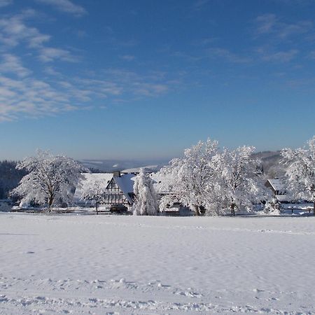 Berghotel Lenneplaetze Winterberg Bagian luar foto