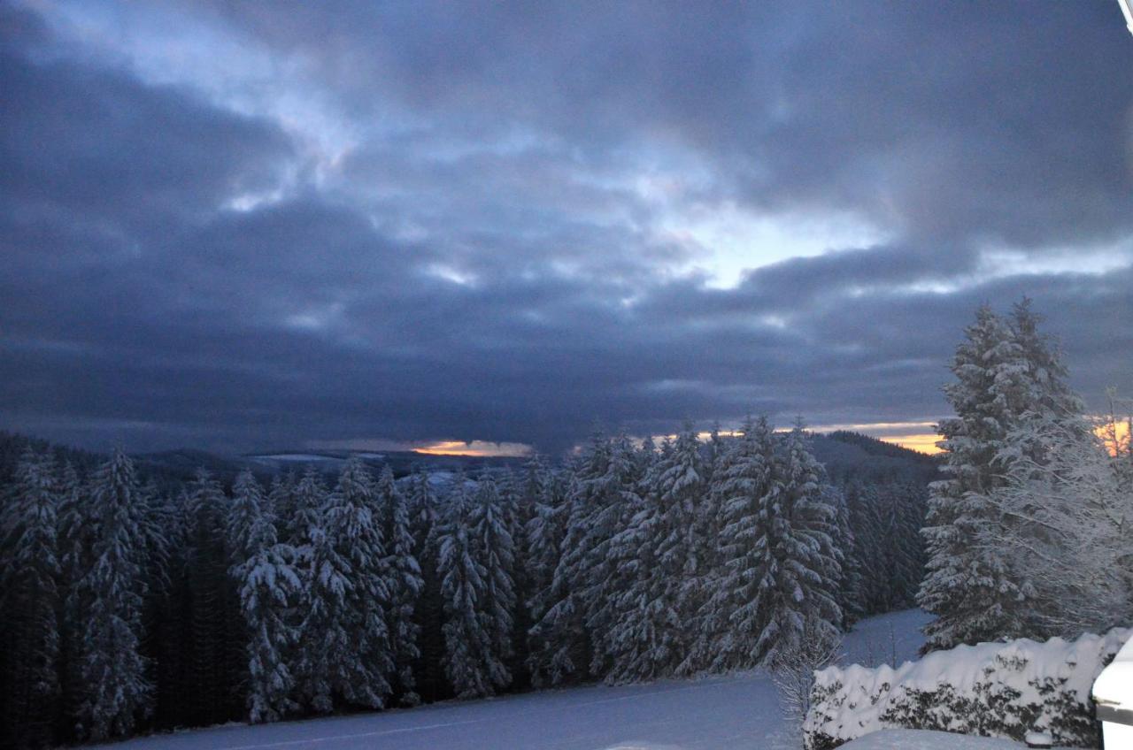 Berghotel Lenneplaetze Winterberg Bagian luar foto