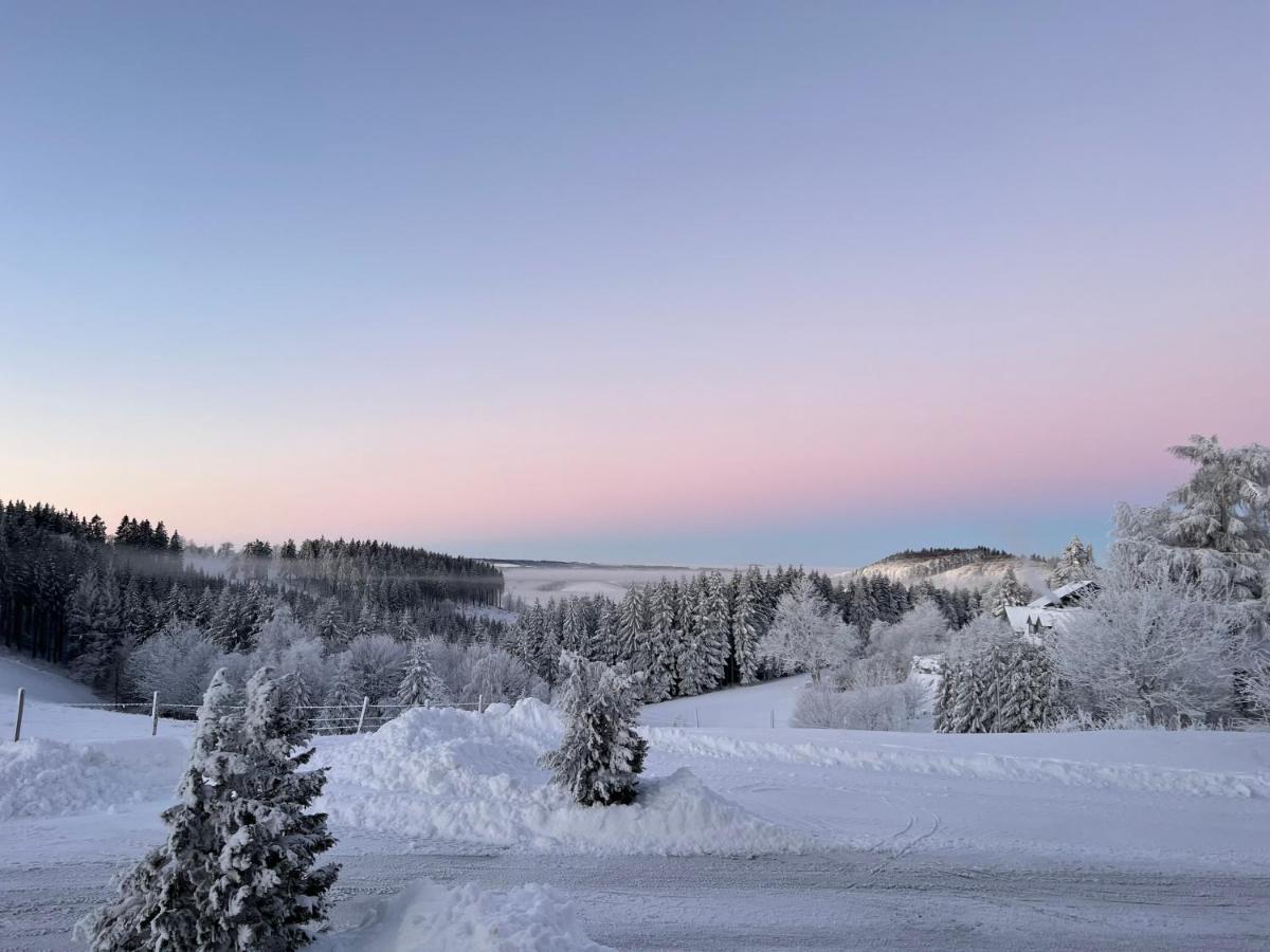 Berghotel Lenneplaetze Winterberg Bagian luar foto