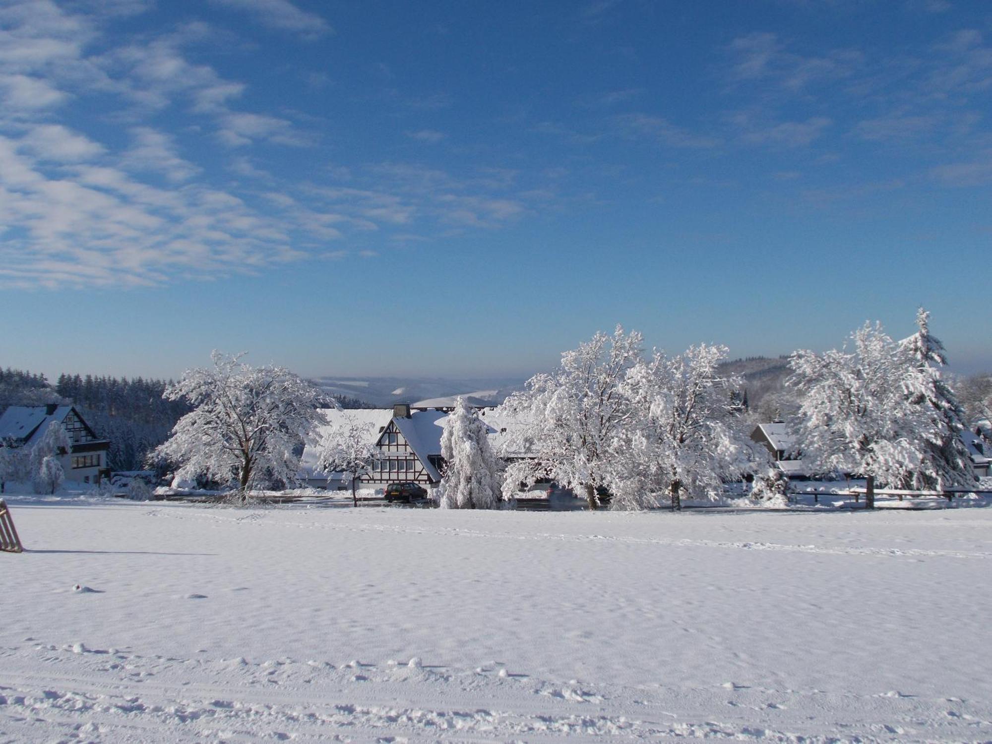 Berghotel Lenneplaetze Winterberg Bagian luar foto