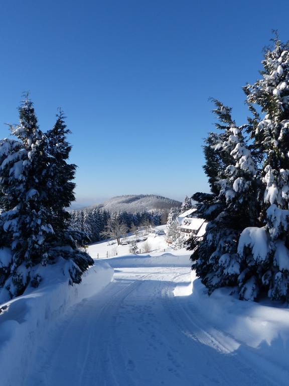 Berghotel Lenneplaetze Winterberg Bagian luar foto